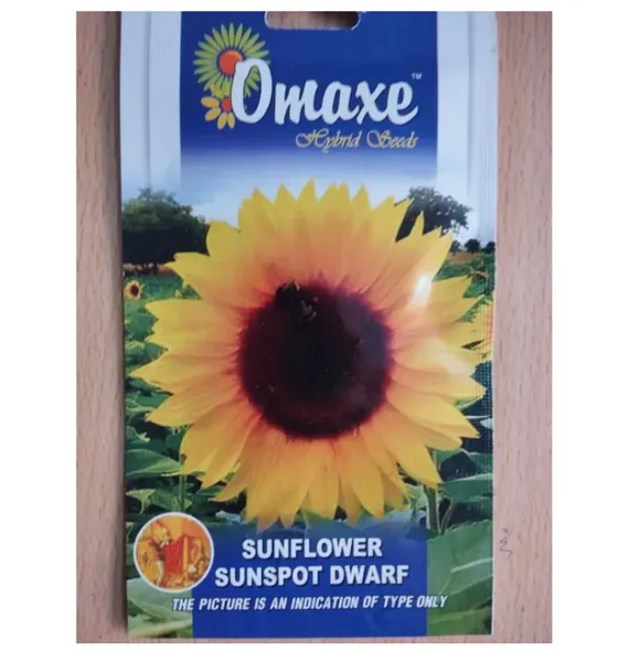Omaxe Sunflower Sunspot Dwarf Flower Seed- 50 Seeds